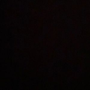 Meet your Posher, Samuel